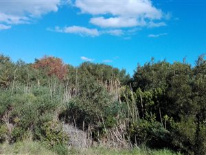 600 m² Land available in Bettys Bay