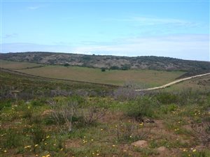 105 ha Farm in Jongensfontein