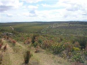 105 ha Farm in Jongensfontein