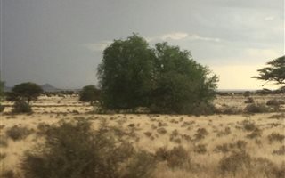 2200 ha Farm in Luckhoff