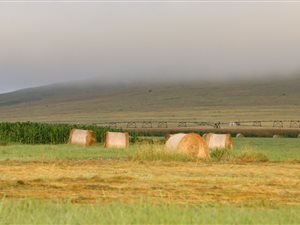 880 ha Farm in Utrecht