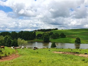 160 ha Farm in Mooi River