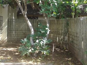 2 Bed Garden Cottage in North Riding AH