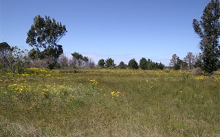5 ha Farm in Plettenberg Bay