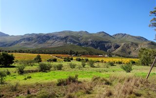 422 ha Farm in Swellendam