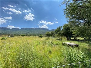 135 ha Farm in Evaton