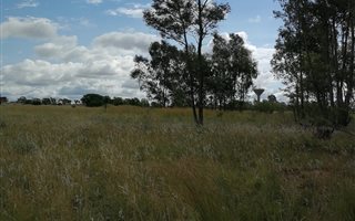 1.3 ha Land available in Cullinan and Surrounds