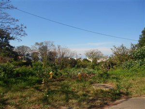 2247 m² Land available in Beverley Hills
