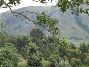 273.8 ha Farm in Lydenburg