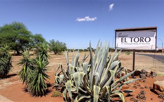 2 Bedroom Apartment in El Toro Park