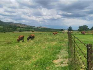 235 ha Farm in Lindequesdrif