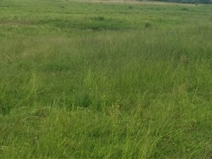 235 ha Farm in Lindequesdrif