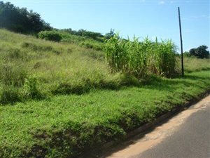 1 ha Land available in Desainagar