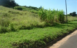 1 ha Land available in Desainagar