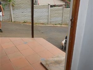 1 Bed Garden Cottage in Winklespruit