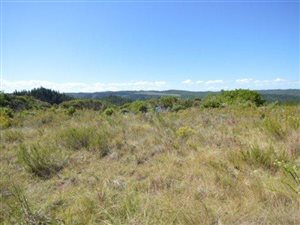 3436 m² Land available in Pezula Private Estate