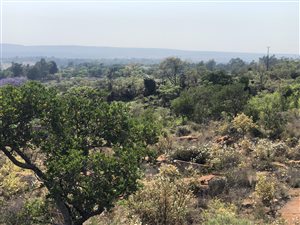 1 ha Land available in Shere