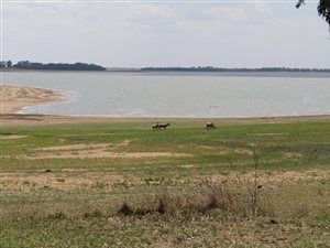 2 ha Land available in Vaalpark