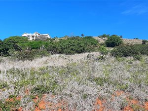 1500 m² Land available in West Bank