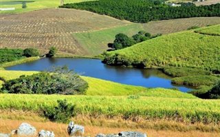 125 ha Farm in Dainfern