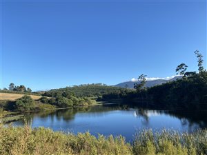 108.6 ha Farm in Grabouw