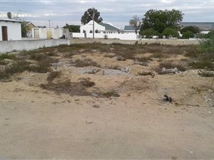 530 m² Land available in Velddrif