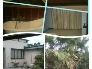 Bachelor apartment in Penhill