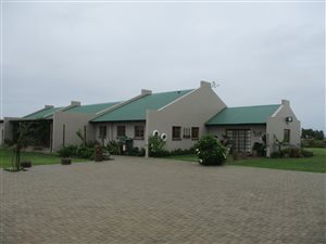 21 ha Farm in Middelburg