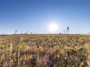 2139 m² Land available in Springvale Country Estate