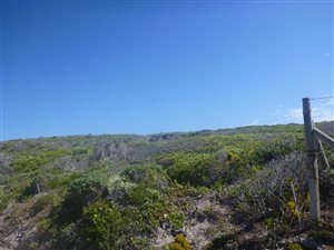 4 ha Land available in Birkenhead
