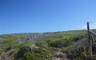 4 ha Land available in Birkenhead