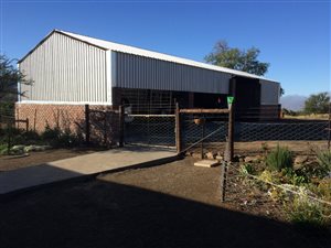3037 ha Farm in Graaff Reinet