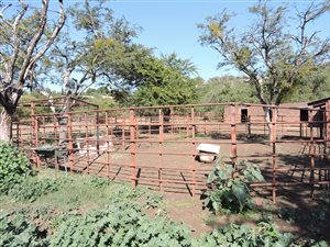 206 ha Farm in Zeerust
