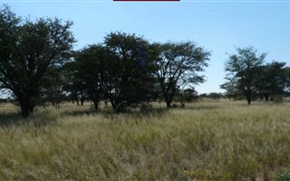 603 ha Farm in Mmabatho