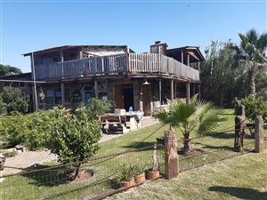 2.9 ha Farm in Homelands