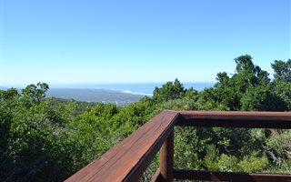 25 ha Farm in Seaview