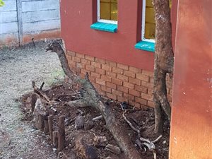 3 Bed House in Albertville