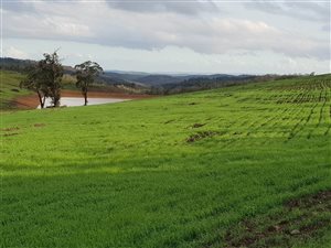 130 ha Farm in Mossel Bay Central