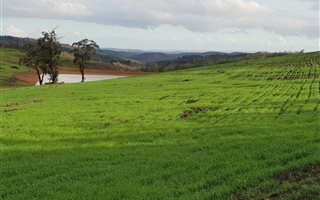130 ha Farm in Mossel Bay Central