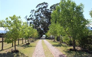 2.1 ha Farm in Northern Paarl