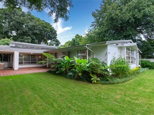 4 Bed House in Hurlingham