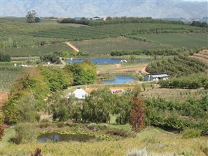 38.5 ha Farm in Elgin