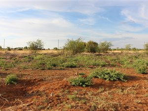 2231 m² Land available in Makwassie