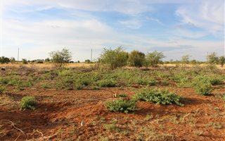 2231 m² Land available in Makwassie