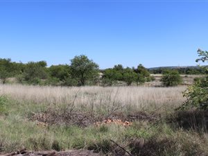 4.3 ha Farm in Donkerhoek