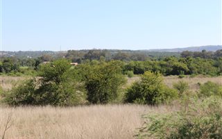 4.3 ha Farm in Donkerhoek