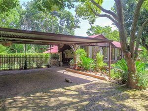 3 Bed House in Irene