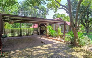 3 Bedroom House in Irene