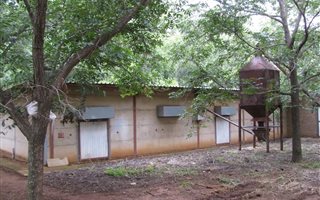 8 ha Farm in Pienaarspoort