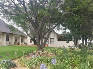 2600 ha Farm in Steytlerville